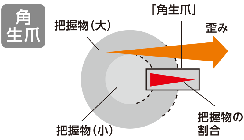 角生爪の場合