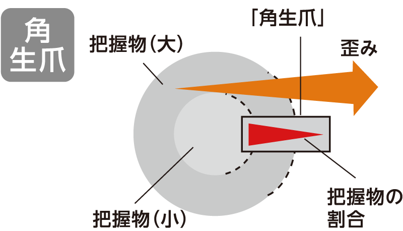 角生爪の場合